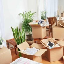 Domestic packers and movers in Ahmedabad