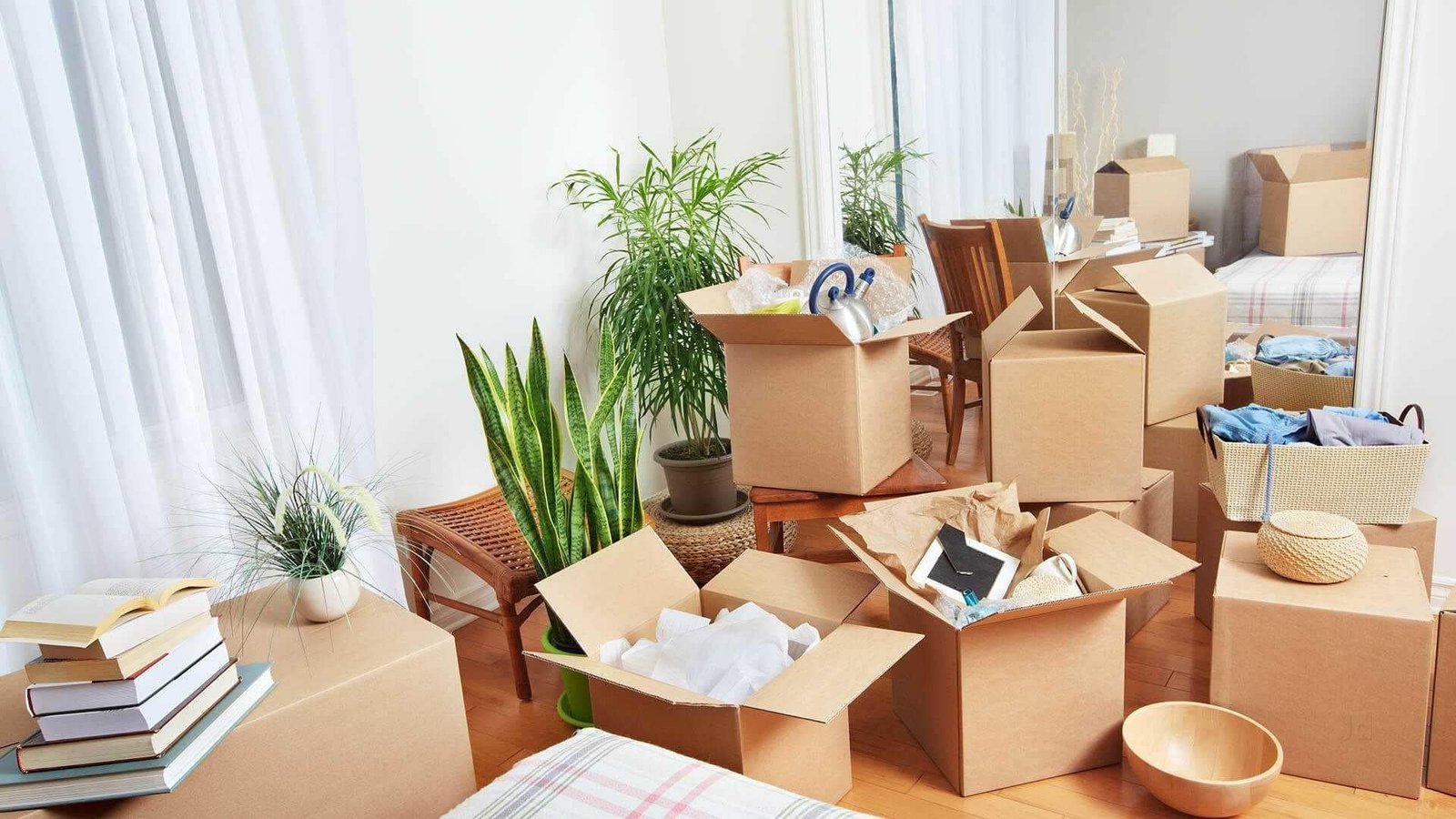 domestic-shifting